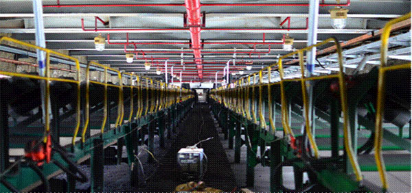 SPL/DZ型消防噴霧自動滅火系統裝置